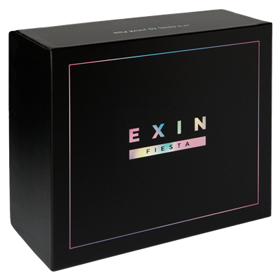 EXIN Fiesta