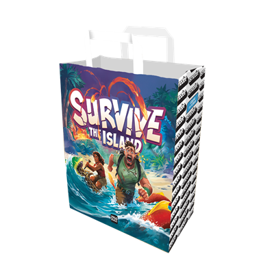 Bolsa de papel Grande Modelo B (250)