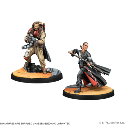 This Is Rogue One Squad Pack