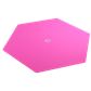 Magnetic Dice Tray Hexagonal Black/Pink