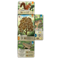 Forest Shuffle